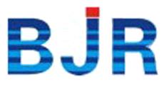 Hubei Baijierui Advanced Materials Co., Ltd.
