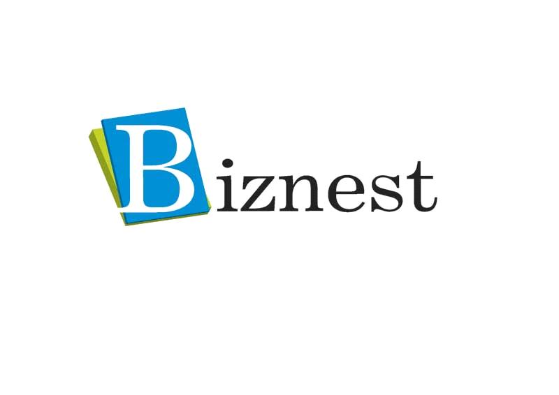 Biznest Limited
