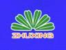 Jiangxi Pingxiang Zhuxing Environmental Protection Chemical Packing Co.,Ltd.