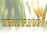 Eternal Splendor Merchandises Co., Ltd.