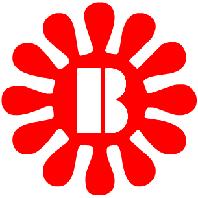 Bigger Printing Group Ltd