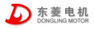 Wenling City Dongling Motor Co., Ltd.