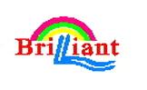 Qingdao Brilliant Plastic Machinery Co., Ltd.