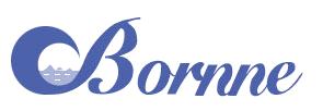 Ruian Bornne Machine Co., Ltd.