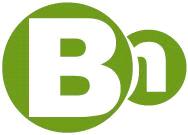 Chongqing Borning Chemical & Industrial Co., Ltd.