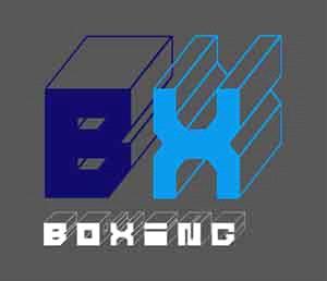 Jiangxi Boxing Chemical Packing Co., Ltd.