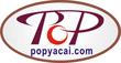 Yacai Display (SZ) Co., Ltd.