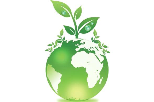 HK Ecology Line Co., Ltd.