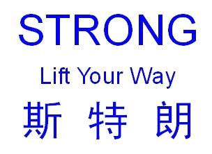 Jinan Strong Lift Machiery Co Ltd