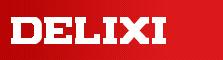 Shanghai Delixi Group Co., Ltd.