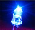 Light up Forever
