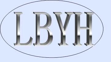 Linqing Bai Yu Hui Bearing Co., Ltd.
