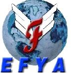 Efya International Import & Export Trade Company