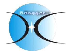 Shenzhen Bangger Technology Co., Ltd