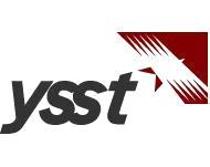 YSST(HK) Limited