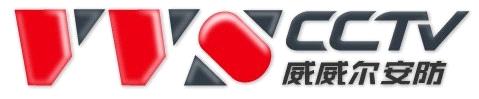 VVS CCTV Limited