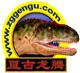 Zigong Gengulongteng Science & Technology Co., Ltd.