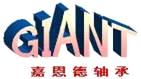 Changzhou Giant Bearing Ltd,.company