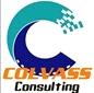 Colvass Consulting Limited