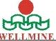 Wellmine Photoelectric Co., Ltd.