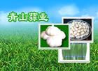 Xuzhou Qingshan Garlic Co., Ltd.