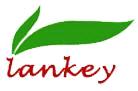 China Lankey Industrial Limited
