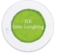 Yuyao Longking Electric Appliance Co., Ltd.
