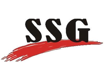 Shenzhen Security Group Co., Ltd.