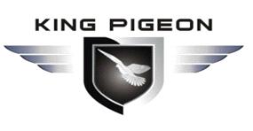 King Pigeon Hi-Tech Co., Ltd.