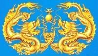Yiyang Kinglon New Materials Co., Ltd.