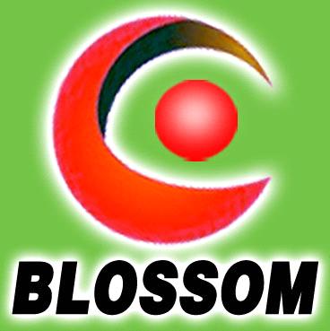 Guangzhou Blossom Stage Lighting Co., Ltd.
