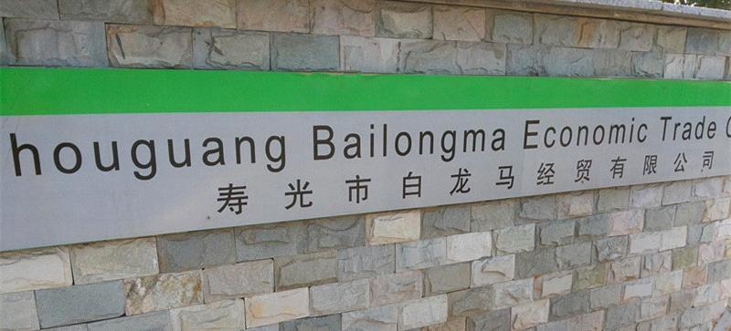 Bailongma Economic Trade Co., Ltd.
