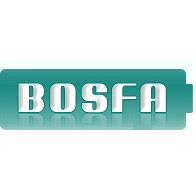 Bosfa Industrial Battery International Co., Ltd.