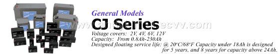 CJ (General Models Series Valve Regulated Lead Acid batteries