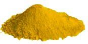 Ganoderma Extract Powder