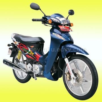 XGJ 110-16D EEC-Approved Motocycle with Chromeplated Muffler and Super-Bright Headlight