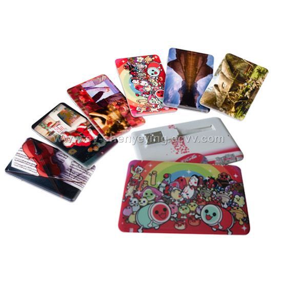 Color Printting Credit Card Size Drive