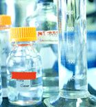 1,8-Diazabicyclo[5.4.0]-Undec-7-ene
