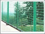 fenceing wire mesh