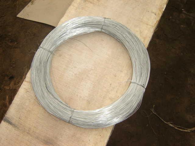 Galvanized Iron Wire (Binding Wire)