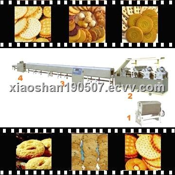 biscuit  processing  line