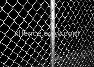 Chain Link Fence (302)