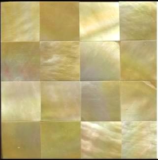 Yellwo Lip MOP Shell Tile Seamless-Jiont