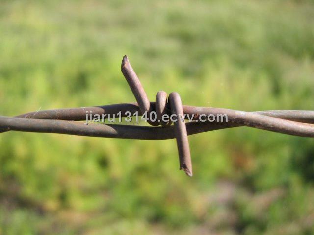 Barbed Wire (001)