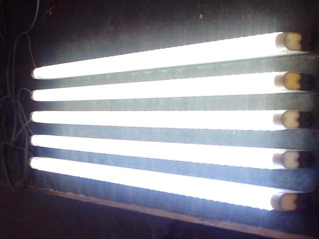 China_Led_Tube_Light20093121738442.jpg