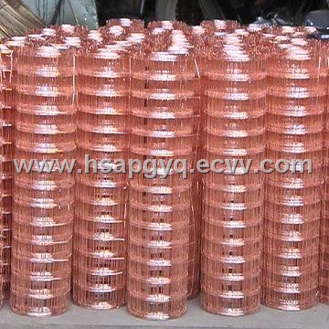Copper Coated Welded Wire Mesh (YL0035)