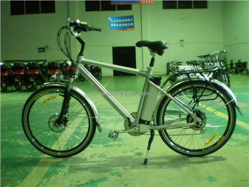 Li-battery E-bike (102)