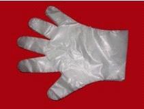 PE/CPE Disposable Glove