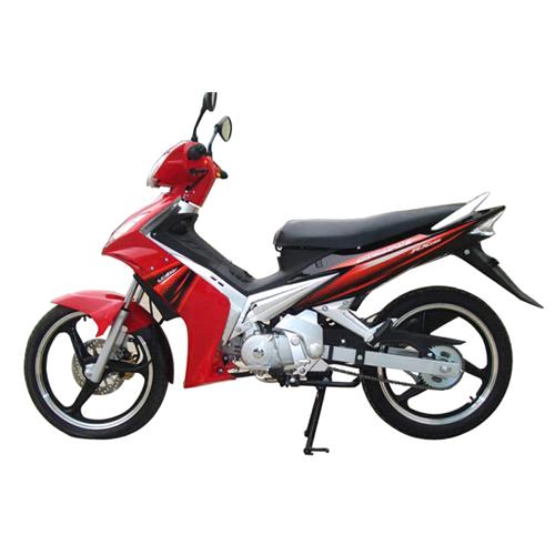 125cc Motorcycle Moped (ZN125-A EEC)