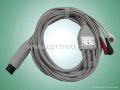 Welch Allyn One-Piece Series Patient Cable with Leadwires